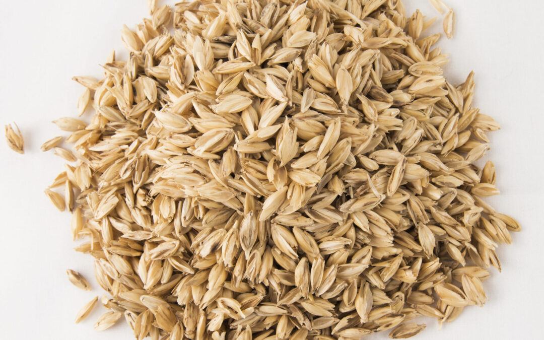 Pula di farro: che cosa è e le sue proprietà